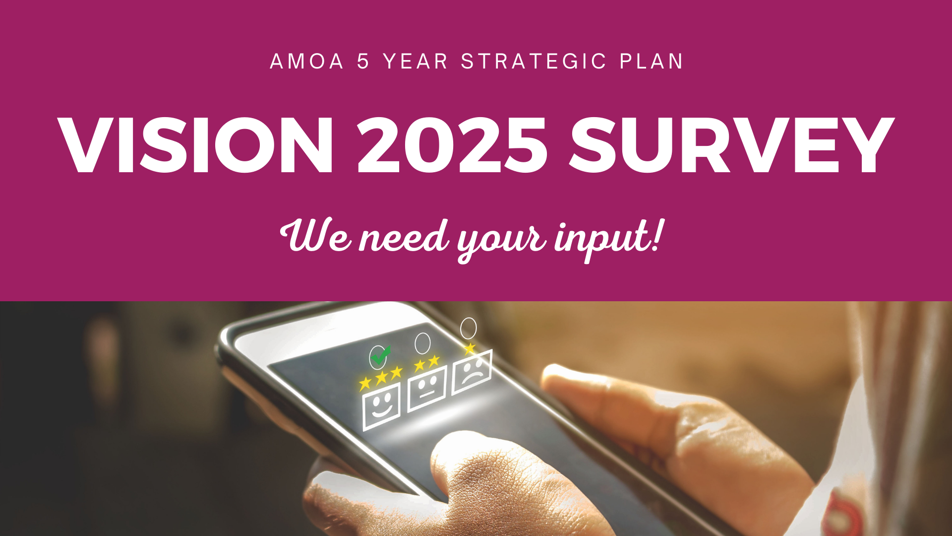 Vision 2025 Survey Anderson Museum of Art